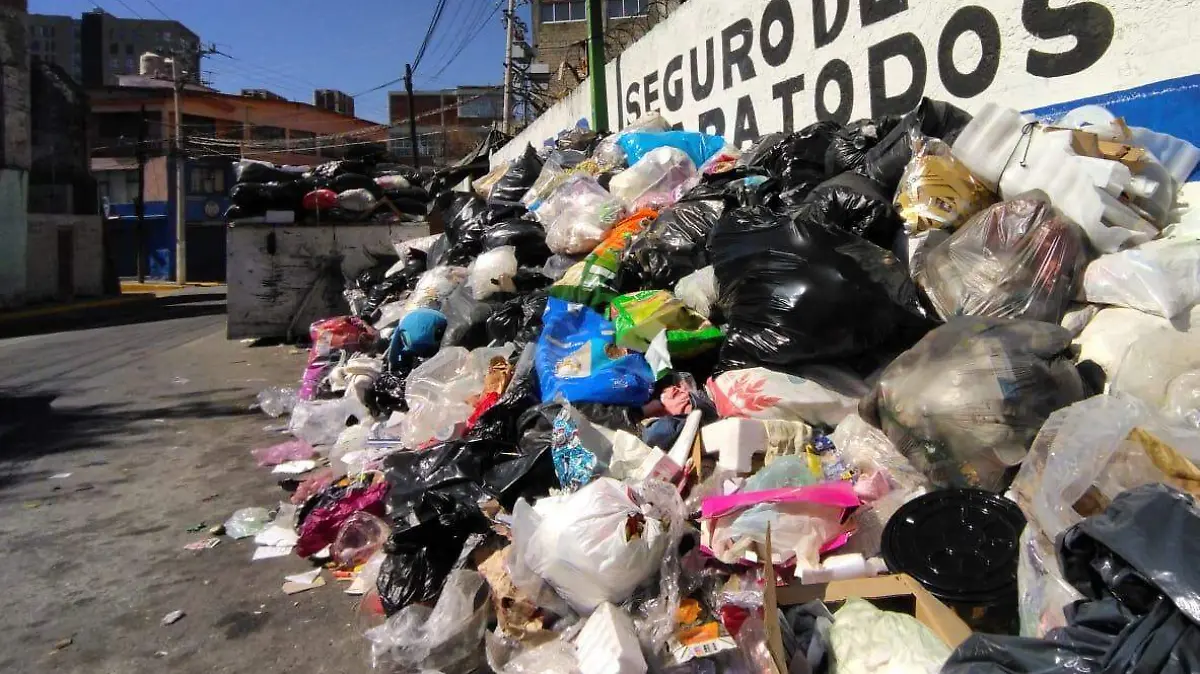 basura toluca